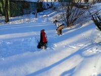 20250118_151354 (1024x768).jpg